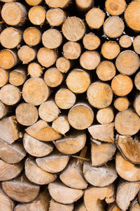材料 环境 股票 框架 木柴 松木 圆圈 硬木 纹理 木桩