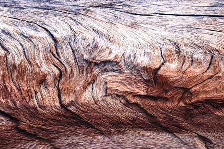 美丽的 特写镜头 木板 木材 自然 纹理 古老的 日志 材料