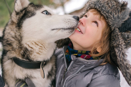 哈士奇 公园 白种人 友谊 在一起 冬天 外部 西伯利亚