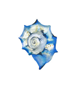 Blue seashell. Sea creature. Ocean life. Watercolour illustratio