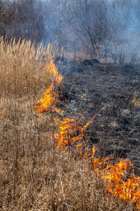 村庄 生态 热的 燃烧 损害 崩溃 紧急情况 死亡 乌克兰