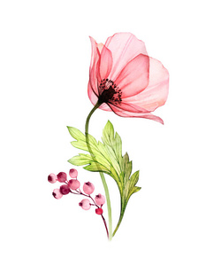 手绘艺术作品与详细的花瓣.卡片植物插画,婚礼设计照片