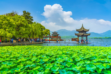 巡航 霓虹灯 风景 建筑学 闲暇 宝塔 杭州 照明 旅游