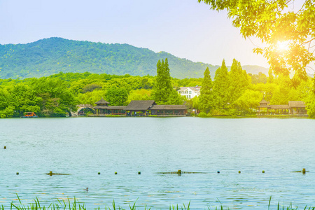 景点 瓷器 杭州 城市 日落 闲暇 照明 风景 池塘 霓虹灯