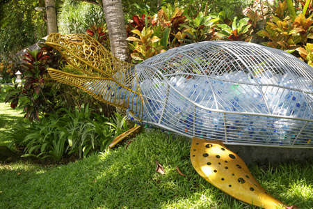 生态学 公园 回收 环境 废旧物品 玻璃 乌龟 透明的 管理