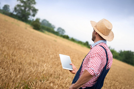 农业 收获 物联网 季节 质量 农学家 男人 控制 技术