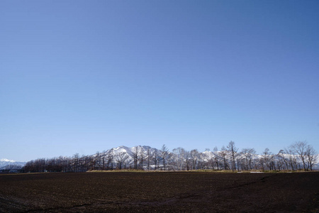 自然 季节 日本 冬天 高的 岩石 北海道 风景 森林 天空