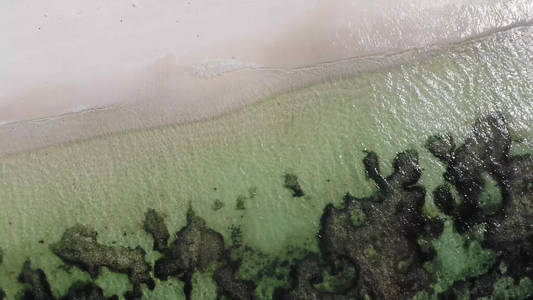 美丽的 塞舌尔 风景 海湾 自然 椰子 绿松石 马尔代夫