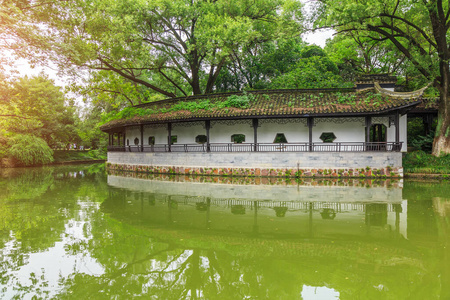 城市 城市景观 美丽的 传统 花园 历史 瓷器 夏天 日落