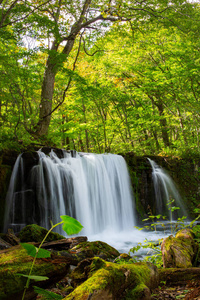 森林 纳特 瀑布 假期 落下 冒险 旅行 徒步旅行 自然