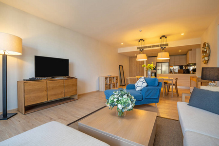 房间 公寓 沙发 椅子 桌子 家庭 奢侈 小地毯 建筑 真实的