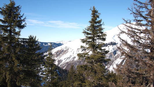 自然 风景 阿尔卑斯山 天空 冬天