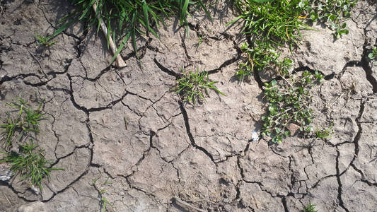 地面 污垢 自然 灾难 干燥 干旱 沙漠 土壤 破裂 环境