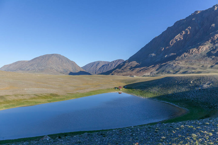 旅游业 环境 草地 蒙古包 沙漠 亚洲 小山 秋天 天空