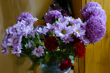 自然 花园 紫色 花瓣 花束 植物区系 美丽的 花的 粉红色