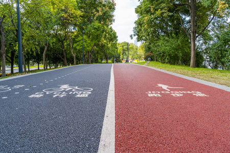 健身 成人 日本人 自然 公园 跟踪 早晨 外部 美国人