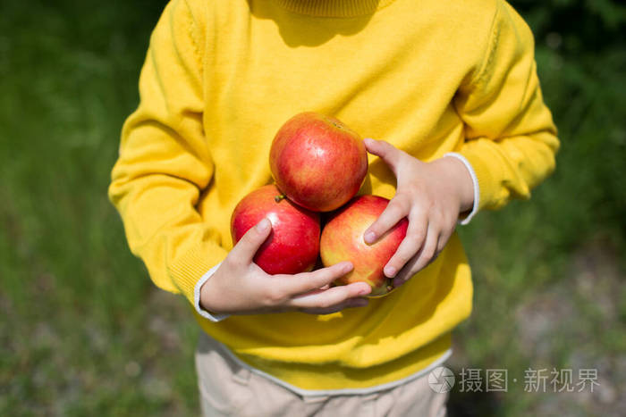 阳光明媚的日子里可爱的小男孩在绿草丛中摘苹果健康营养
