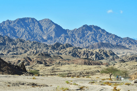 骑手 岩石 移动 埃及 悬崖 行走 非洲 自然 小山 沙漠
