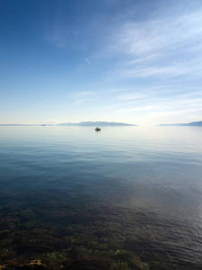 太阳 美丽的 美女 波动 海岸 假日 地平线 海景 颜色