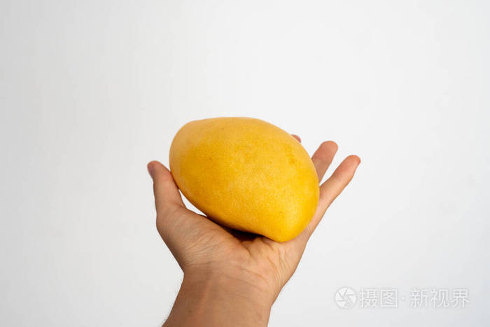 白色背景下女性手拿着一个成熟的芒果