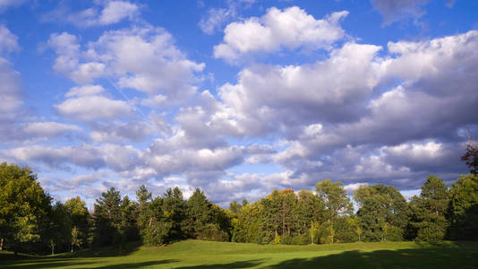公园风景如画，绿树成荫，绿草如茵，背景是多云的蓝天
