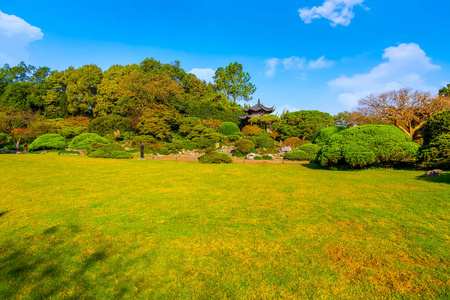 公园 天空 地平线 草地 阳光 草坪 国家 外部 天气 场景