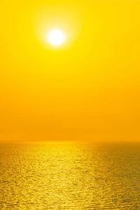 风景 地平线 旅行 热带 阳光 椰子 黄昏 太阳 日出 轮廓