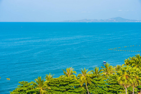 波动 棕榈 热带 椰子 风景 加勒比 海岸 海景 海滩 旅行