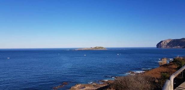 海洋 风景 大西洋 比斯开 旅游业 海滩 自然 悬崖 小山