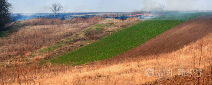 火焰 危险的 意外 燃烧 土地 破坏 植物 地面 危险 烟雾