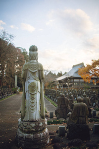 宗教 佛陀 佛教 日本 秋天 寺庙 亚洲