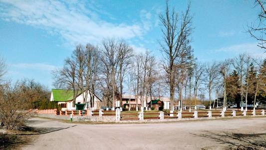 前进 分支 房屋 四月 自然 春天 乌克兰 国家 阳光 林业