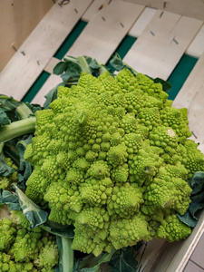 西兰花 生产 营养 植物 健康 蔬菜 饮食 美味的 市场