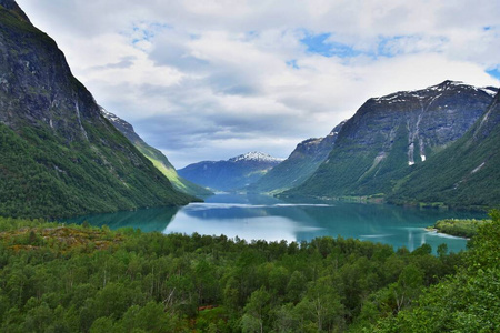 风景 挪威 挪威语 美女 冒险 森林 旅游业 旅行 徒步旅行