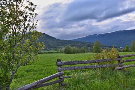 乡村 美丽的 小山 栅栏 夏天 旅游业 环境 草地 天空