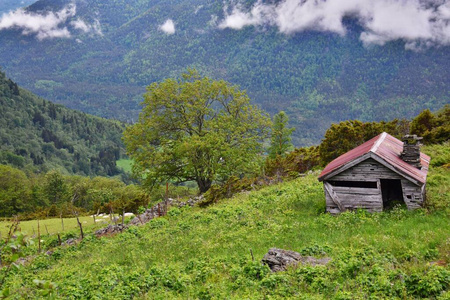 挪威 风景 山谷 斯堪的纳维亚 房子 草地 乡村 自然 旅游业