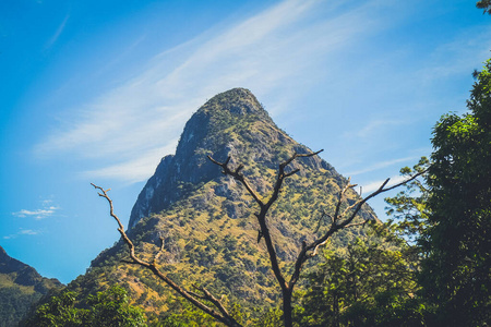 阿尔卑斯山 环境 岩石 场景 旅游业 假期 旅行 公园 小山