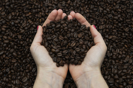 早晨 农场 纹理 饮料 作物 芳香 咖啡 种子 粮食