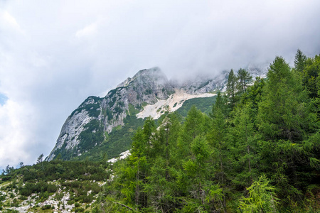 森林 自然 旅行 小山 环境 发现 山谷 云景 旅游业 假期