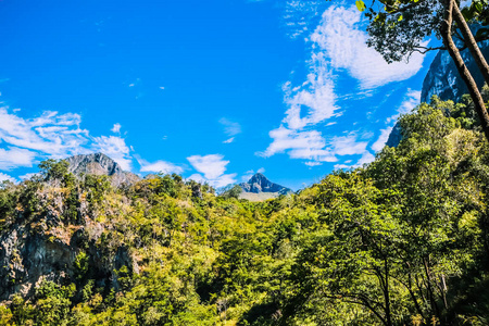 场景 春天 土地 树叶 木材 植物 自然 国家 天空 公园