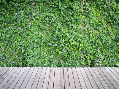 木板 风景 外部 材料 栅栏 国家 植物 建筑学 空的 石板