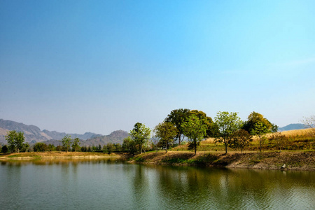 放松 泰国 池塘 夏天 全景 天空 国家的 公园 阳光 旅行