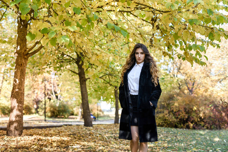 美女 公园 长凳 外套 女人 行走 寒冷的 落下 肖像 秋天