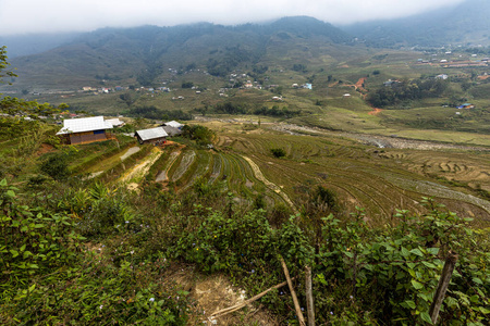 农场 大米 建筑 农舍 建筑学 乡村 自然 风景 山谷 房子