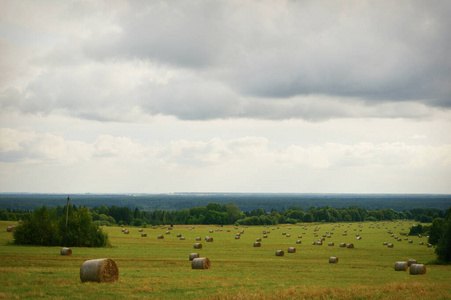 草地 夏天 美丽的 天空 乡村 小山 自然 国家 农业 农场