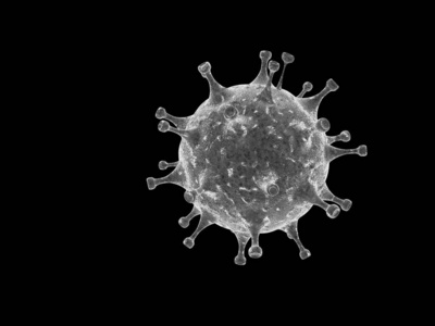 疫苗 禽流感 微生物学 病毒学 感染 发烧 细菌 疾病 冠状病毒