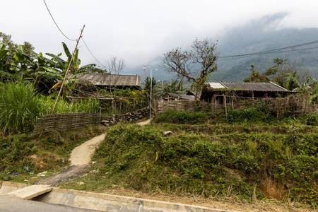 大米 乡村 村庄 农舍 房子 山谷 越南 风景 草地 建筑学