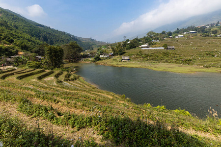自然 越南 农场 农民 风景 乡村 大米 草地 农业 山谷