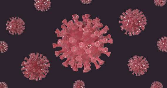 冠状病毒3d插图。三维渲染