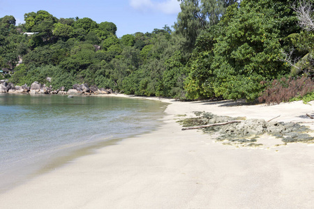 热带 加勒比 椰子 海滩 风景 波动 塞舌尔 天堂 旅游业